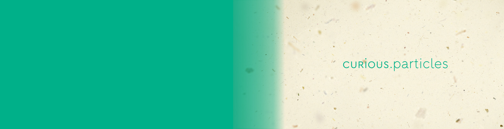curious2024-INSPI-banner.21920x493.jpg