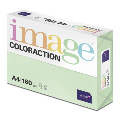 Image Coloraction