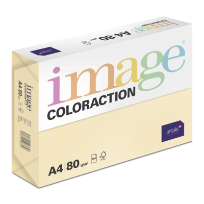 Image Coloraction