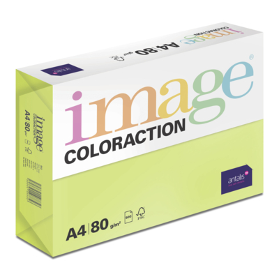 Image Coloraction