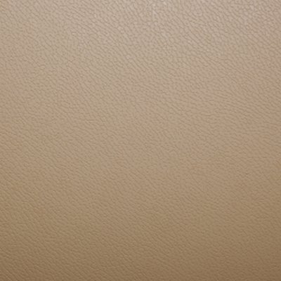 Coala Interior Film Leather