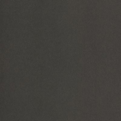 Coala Interior Film Fabric