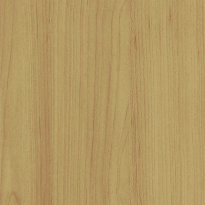 Coala Interior Film PVC Free