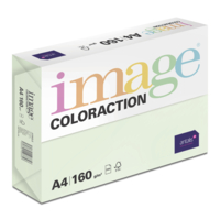 Image Coloraction