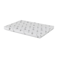 Raflatac Ratflacoat Plus