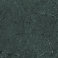 Coala Interior Film High Resistance