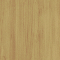 Coala Interior Film PVC Free