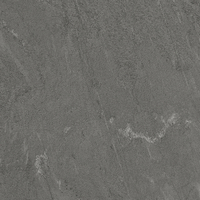 Coala Interior Film Natural Stone