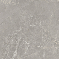 Coala Interior Film Natural Stone