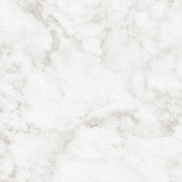 Coala Interior Film Natural Stone