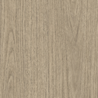 Coala Interior film Wood