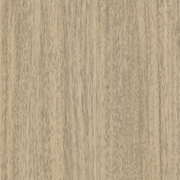 Coala Interior film Wood