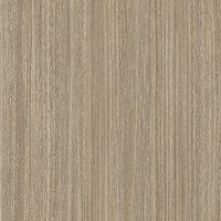 Coala Interior film Wood