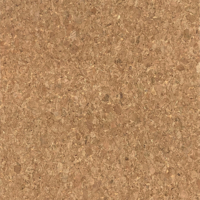 Coala Interior film Wood