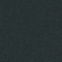 Coala Interior Film Exterior
