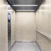 3M Di-Noc, ST-2539 1220 mm x 50 m 7100320838