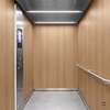 3M Di-Noc, Fine Wood FW-1256 1220 mm x 50 m 7100025830