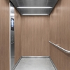3M Di-Noc, Wood Grain WG-1144 1220 mm x 50 m 7000090790