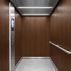 3M Di-Noc, Wood Grain WG-1146 1220 mm x 50 m 7000090791
