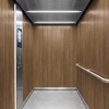 3M Di-Noc, Wood Grain WG-1337 1220 mm x 50 m 7100026784