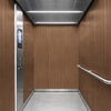 3M Di-Noc, Wood Grain WG-1360 1220 mm x 50 m 7100026781