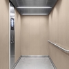 3M Di-Noc, Wood Grain WG-1709 1220 mm x 50 m 7100088986