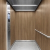 3M Di-Noc, Wood Grain WG-1837 1220 mm x 50 m 7100089031