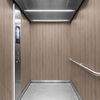 3M Di-Noc, Wood Grain WG-2073 1220 mm x 50 m 7100154858