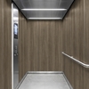 3M Di-Noc, Wood Grain WG-2451 1220 mm x 50 m 7100320974