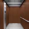 3M Di-Noc, Wood Grain WG-2862 1220 mm x 50 m 7100026743