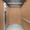 3M Di-Noc, Wood Grain WG-453 1220 mm x 50 m 7000008027