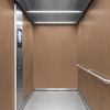 3M Di-Noc, Wood Grain WG-837 1220 mm x 50 m 7000091181