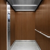 3M Di-Noc, Wood Grain WG-854 1220 mm x 50 m 7100000475