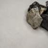 Coala Interior Film Concrete