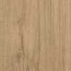 Coala Interior film Wood