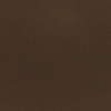 Stardream bronze