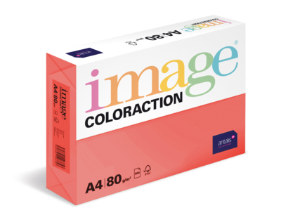 Image Coloraction